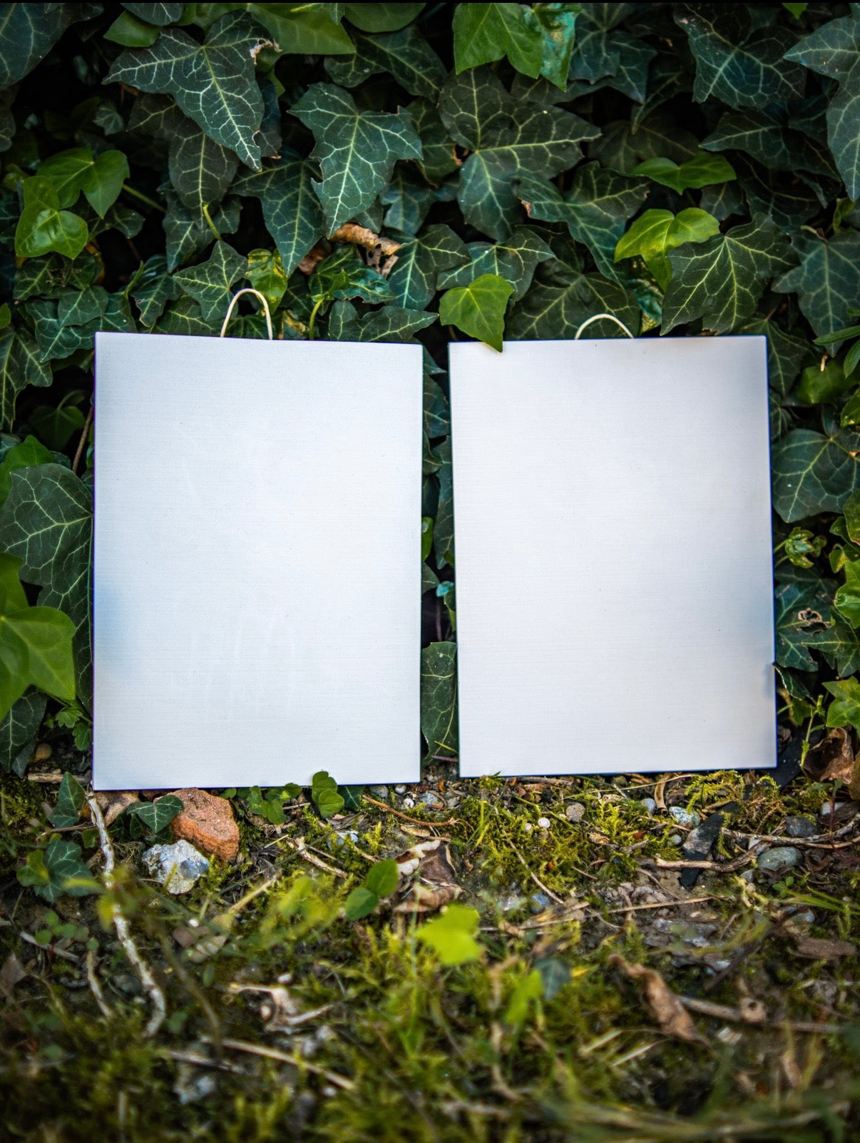 Bundle 2 Kit Classico – 2 Quadretti, 12 Colori e Pennelli