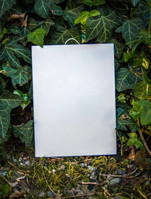 Bundle 2 Kit Classico – 2 Quadretti, 12 Colori e Pennelli